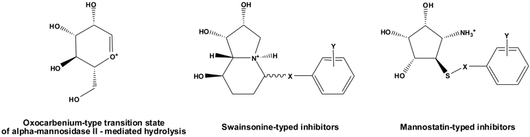 Swainsonine- and mannostatin-type inhibitors