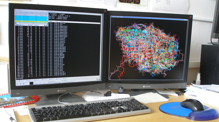 Superposition of alpha-mannosidases from family 38 (crystal structures and homology models visualized by the VMD program suite)